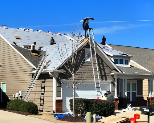 Insurance Claim Support